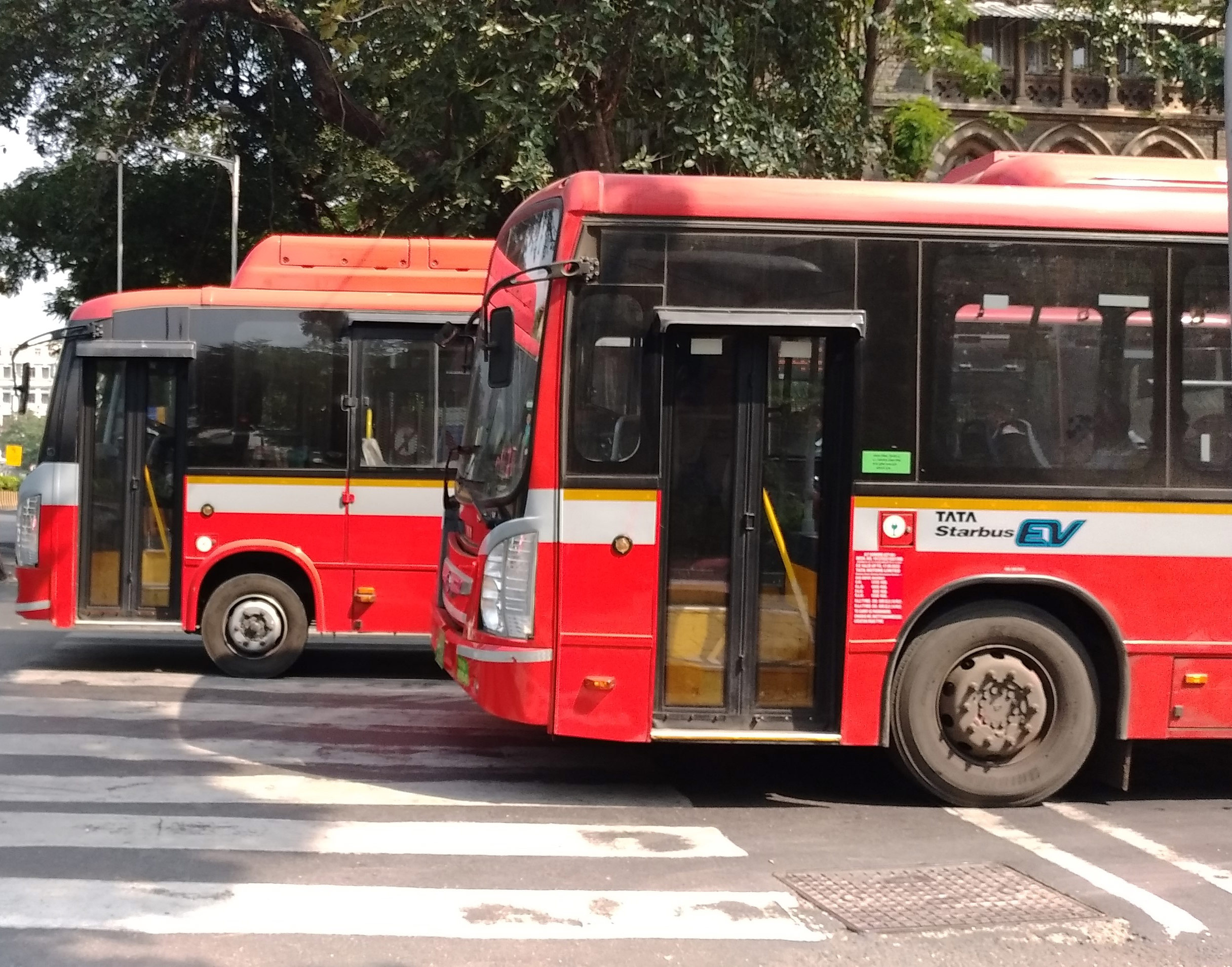 Mumbai Bus