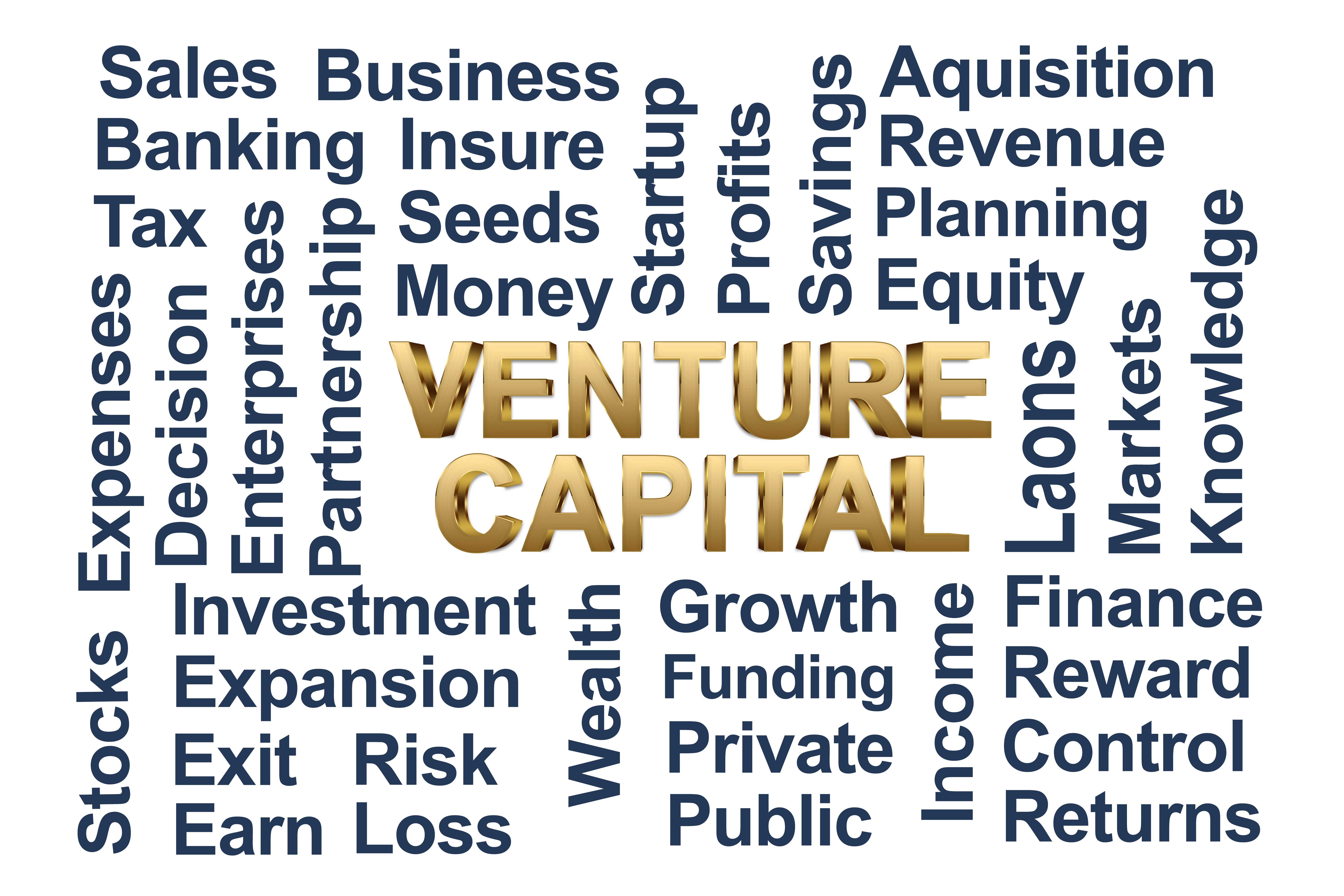 Free Venture Capital Stock Photo Free Download Word Cloud Images