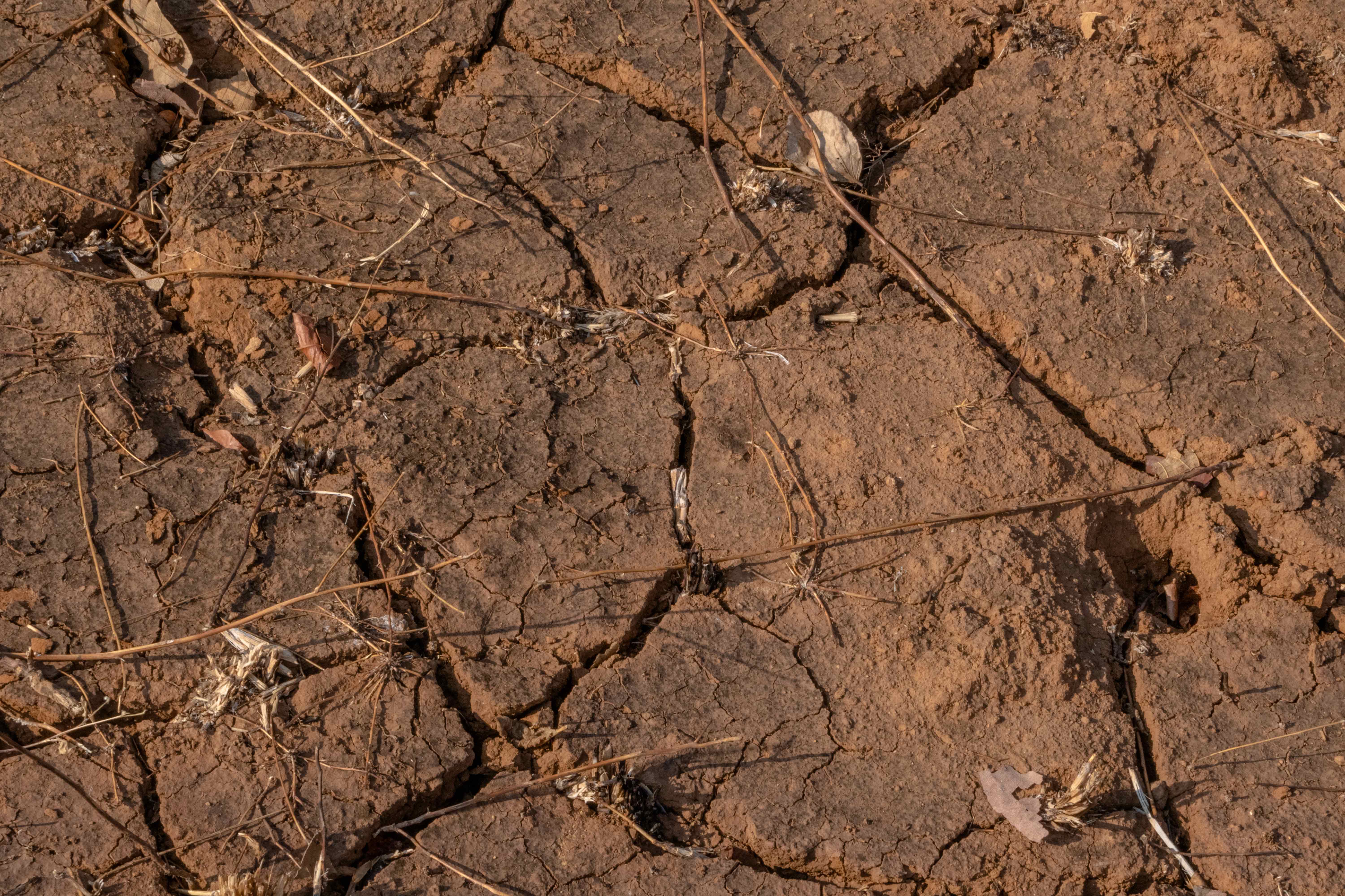 Dry Cracked Farmland 6K resolution Stock Photos - Free Download