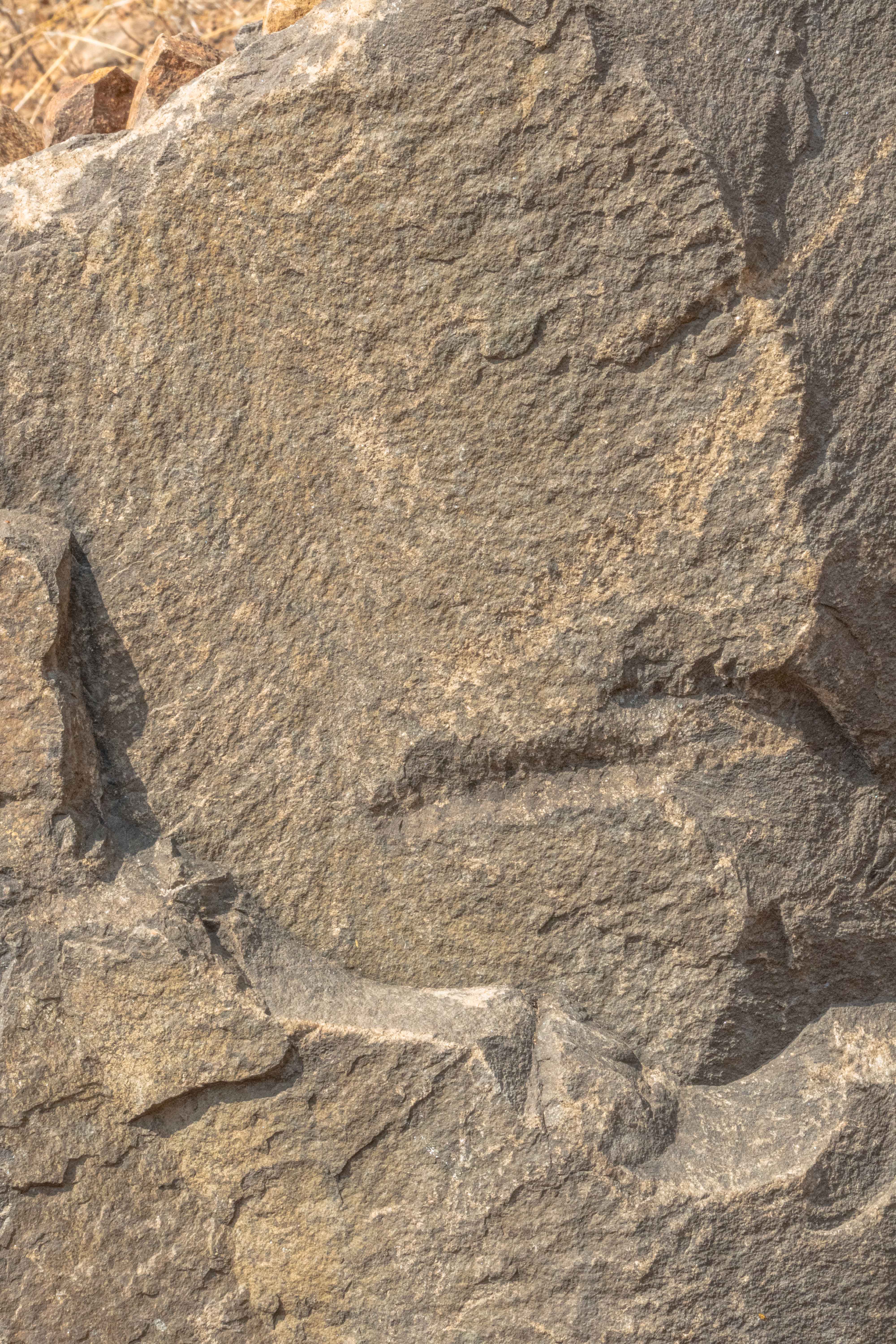 Grey rock texture Images - Free Download in 6K resolution