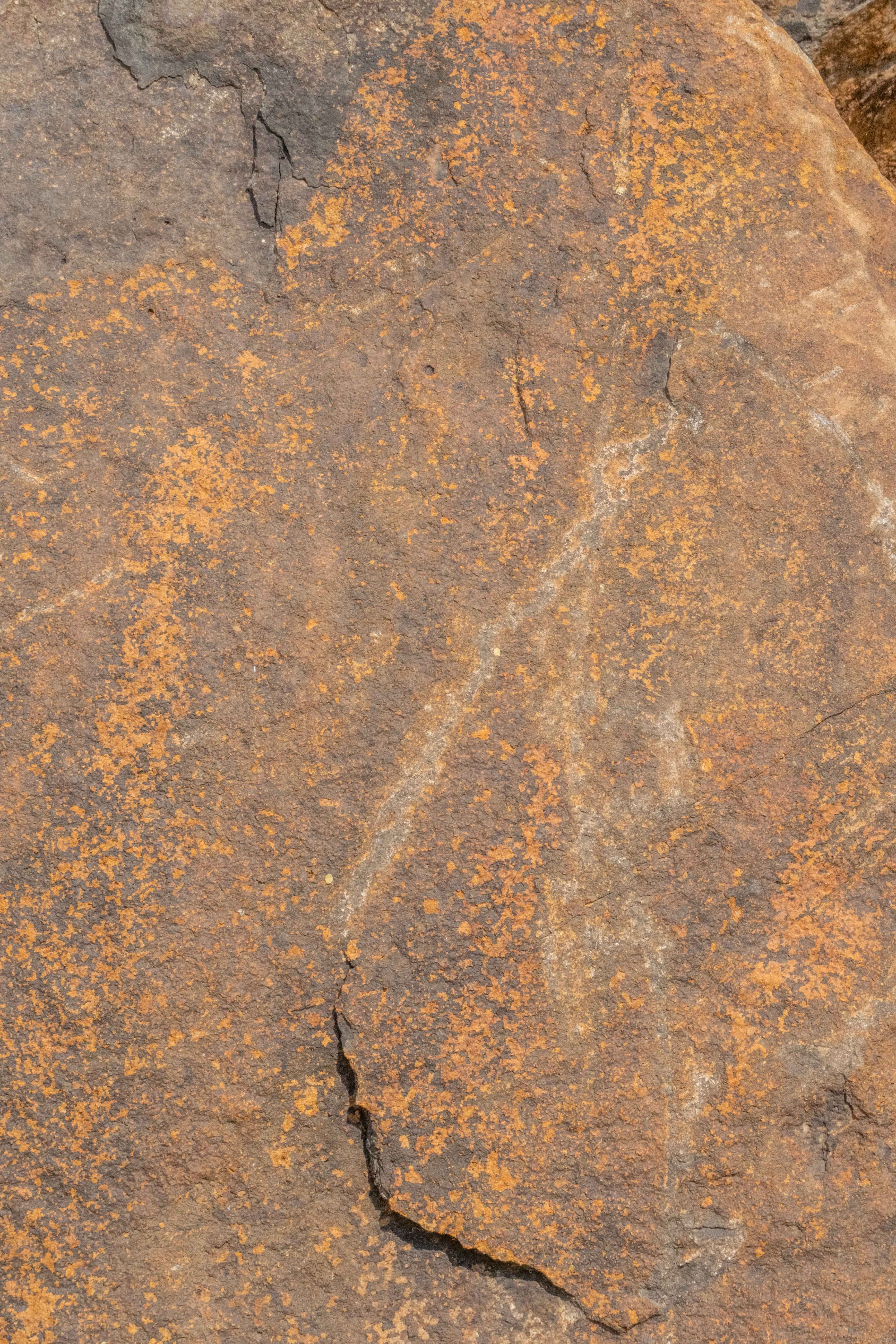 Natural Rough Plain Yellow Rock HD Texture Stock image free download