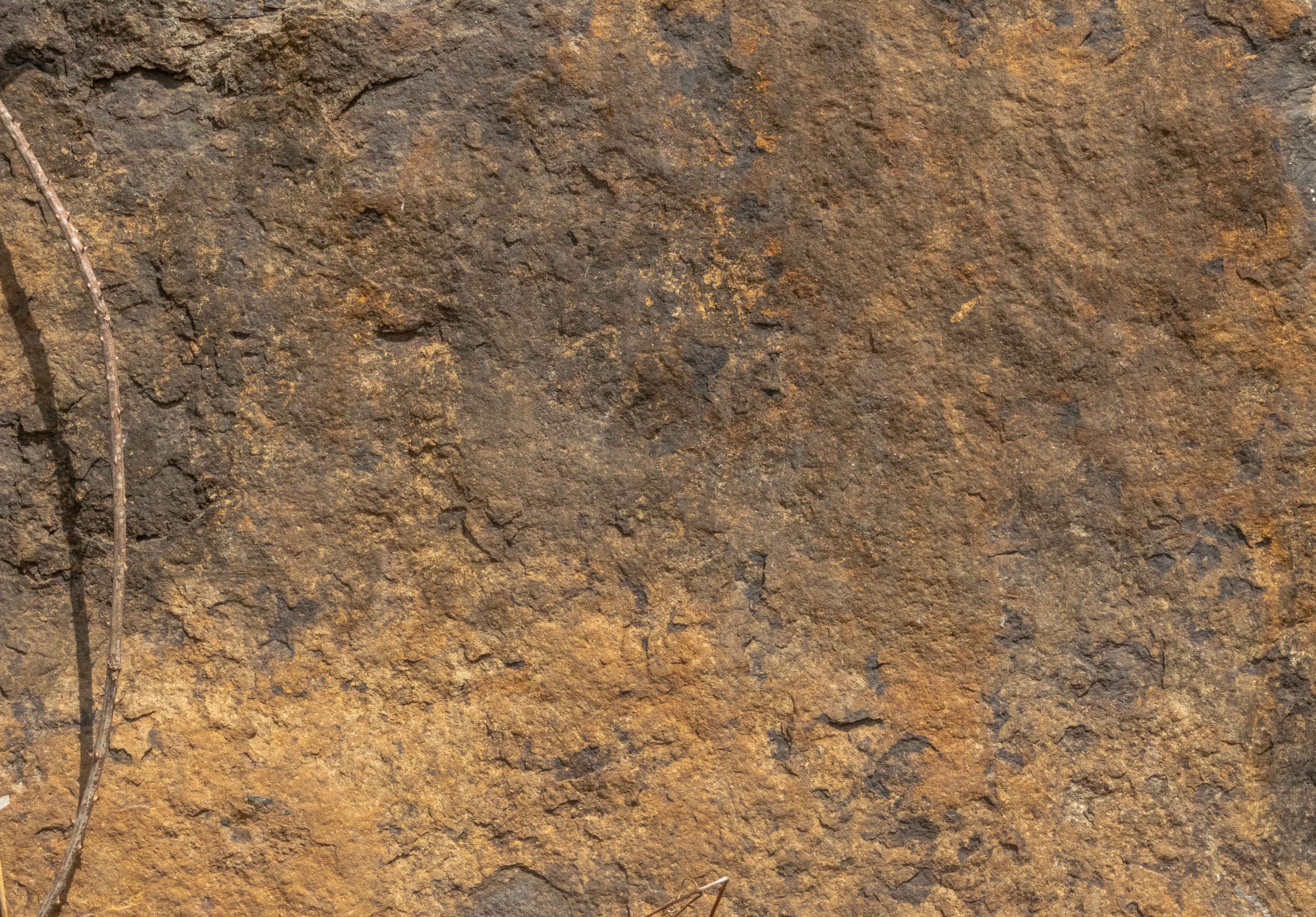 Natural Yellow stone texture Images - Free download 6K resolution