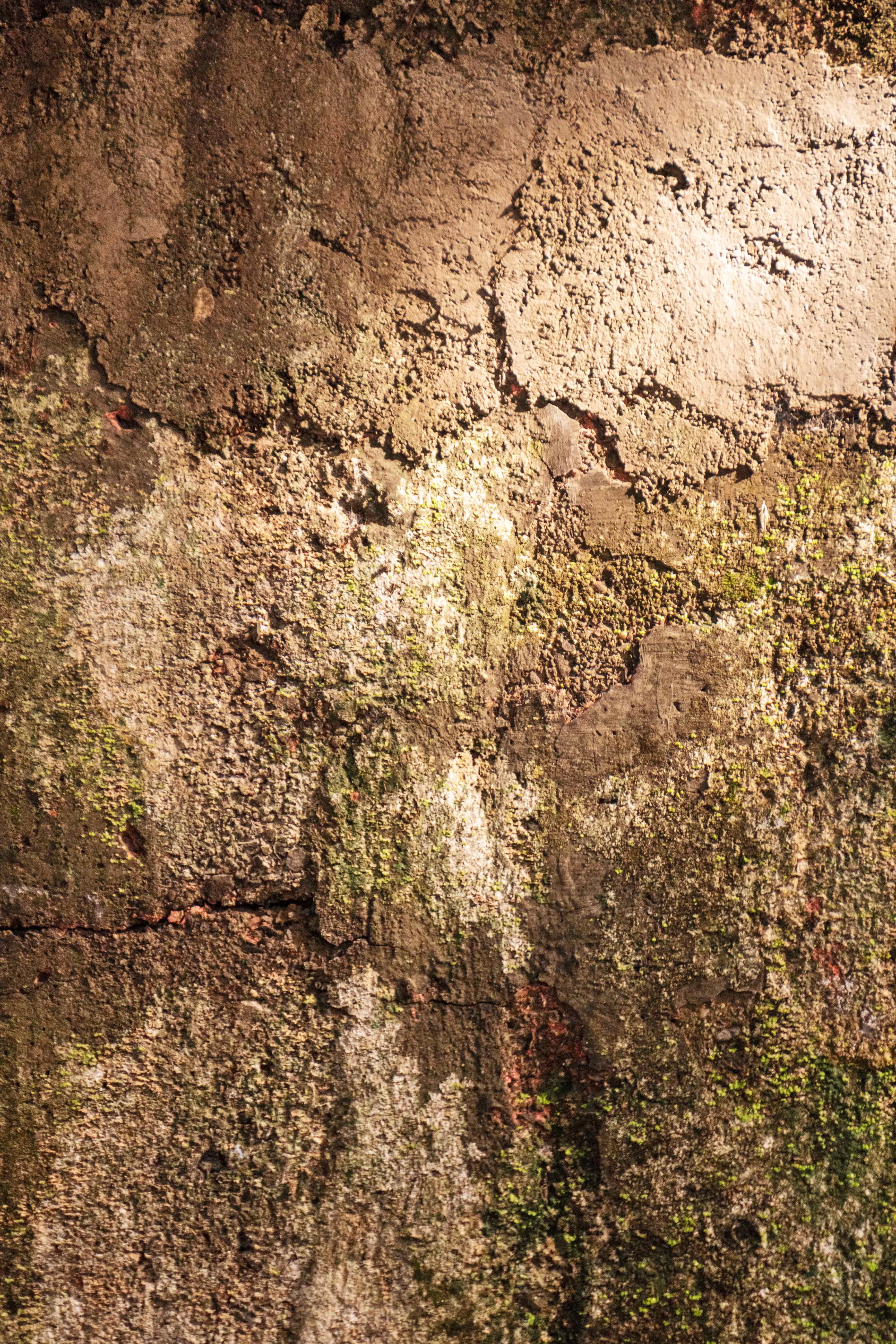 Weathered Concrete Wall Texture with Moss, Peeling Plaster, and Moisture Stains