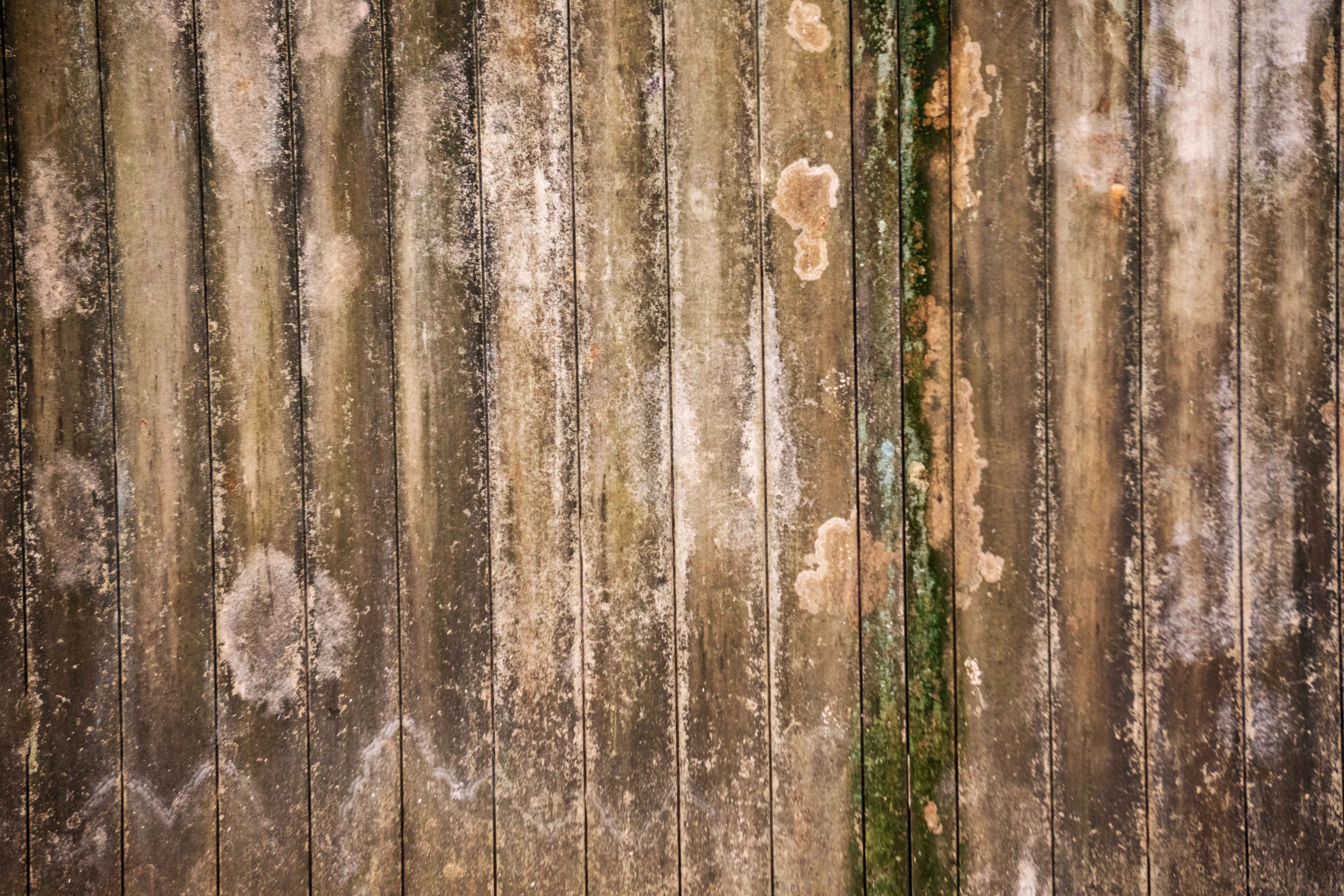 Weathered Corrugated Fiber Cement Roof with Moss and Lichen Texture