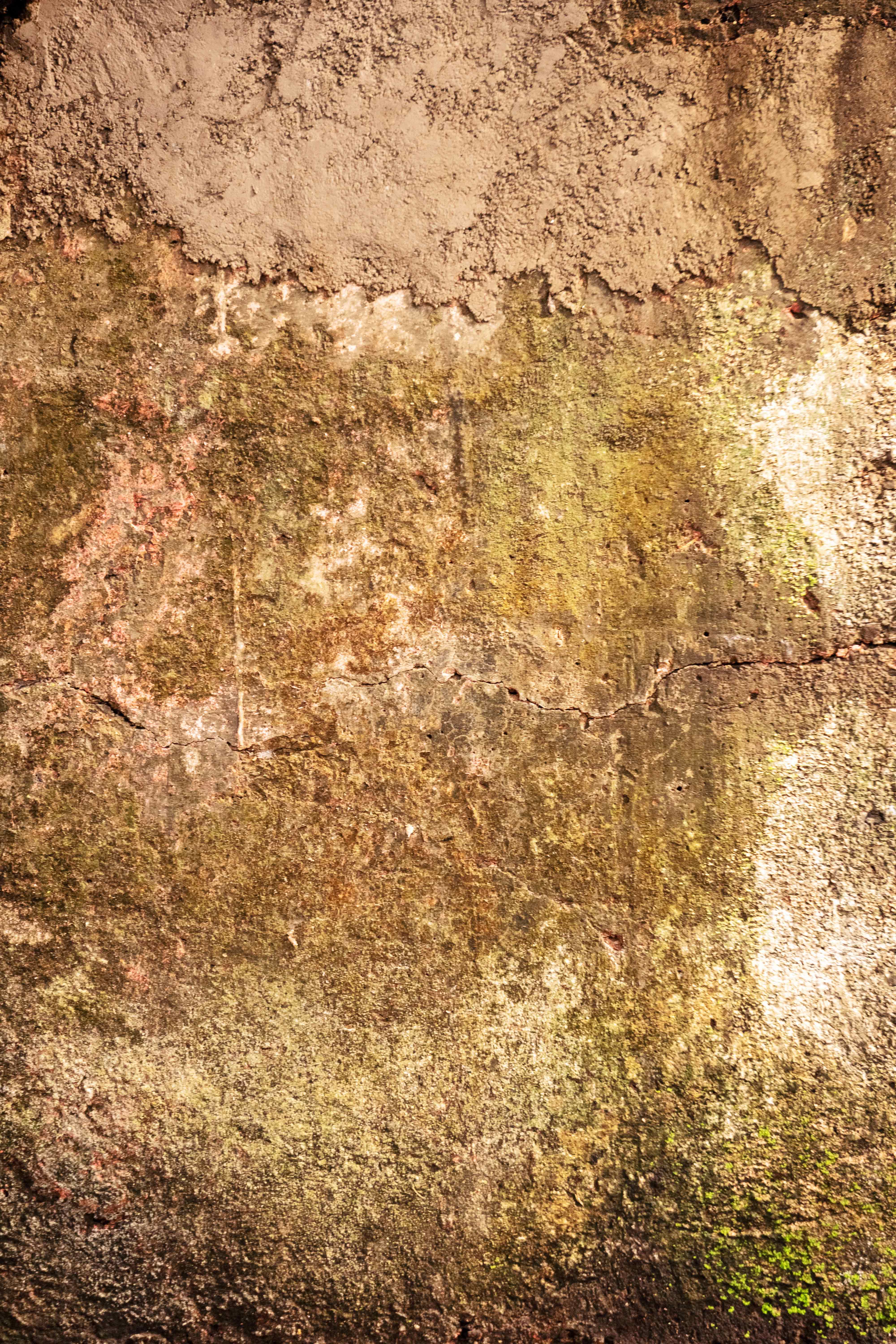 Weathered Damp Concrete Wall with Moss, Algae, and Mineral Deposits