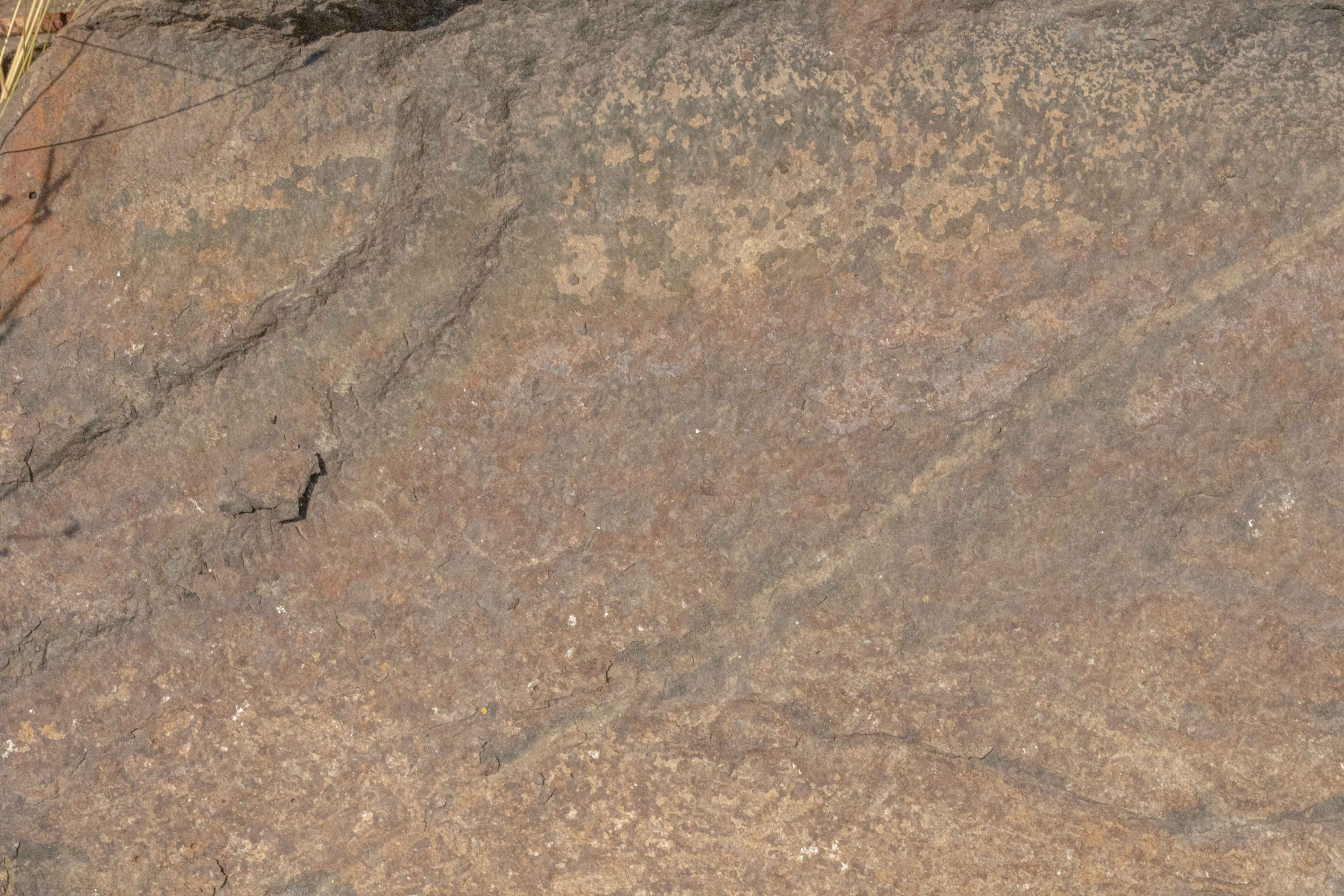 Weathered Natural Rock Surface with Mineral Banding Texture for free download