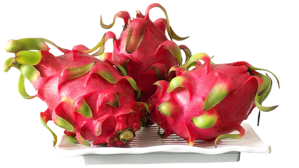 dragon fruit image, fresh dragon fruit png, dragon fruit png image, dragon fruit transparent png image, dragon fruit png full hd images download