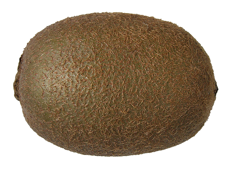 kiwi fruit images, kiwi fruit png, kiwi fruit png image, kiwi fruit transparent png image, kiwi fruit png full hd images download
