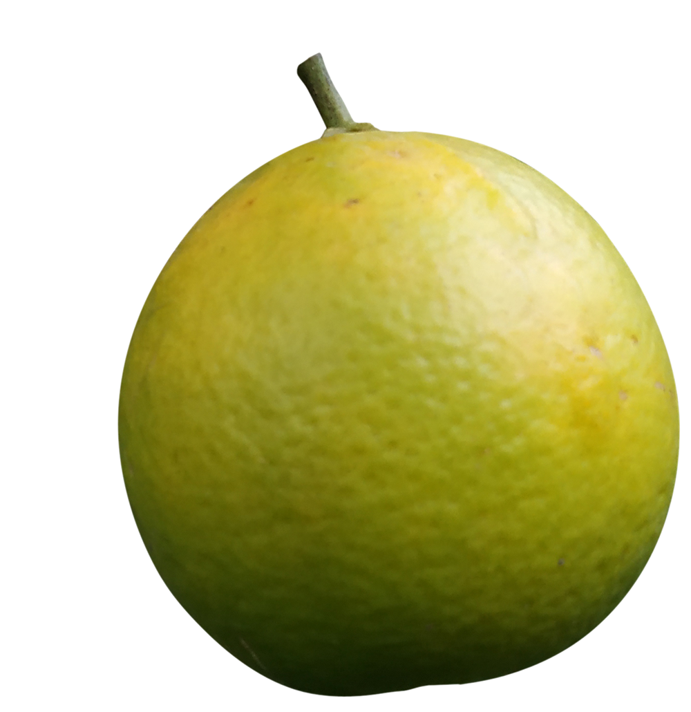 mandarin, mandarin png, mandarin png image, mandarin transparent png image, mandarin png full hd images download