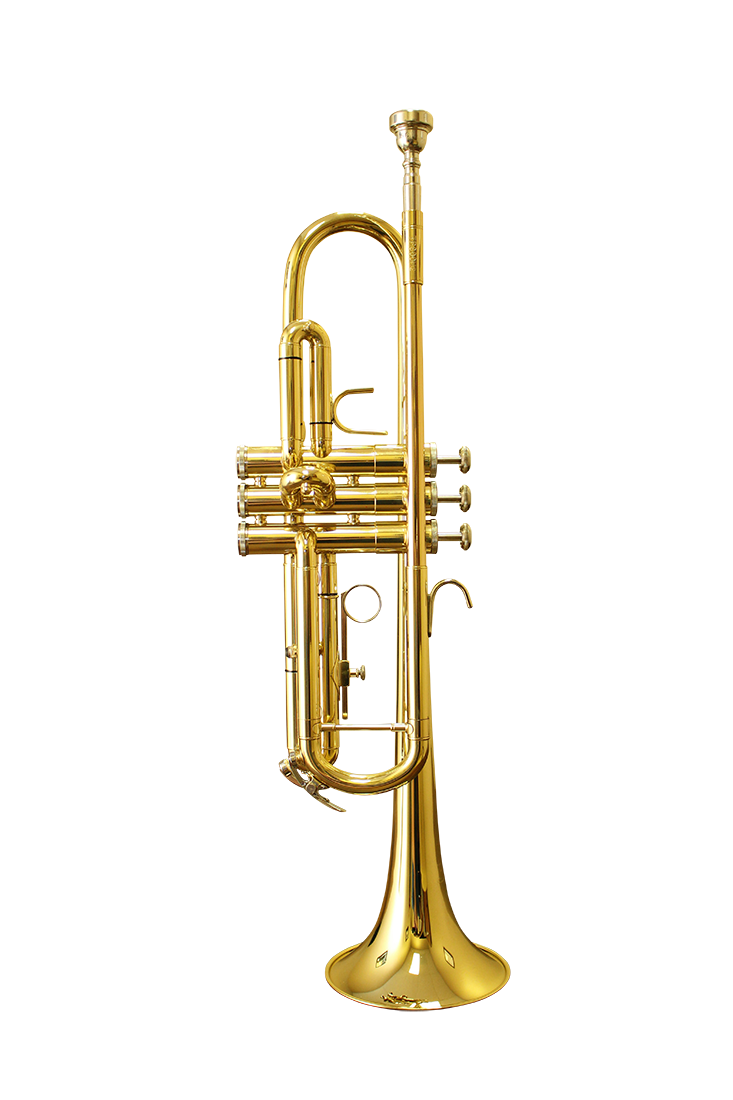 Saxophone png, Saxophone PNG image, Saxophone png transparent image, Saxophone png full hd images download