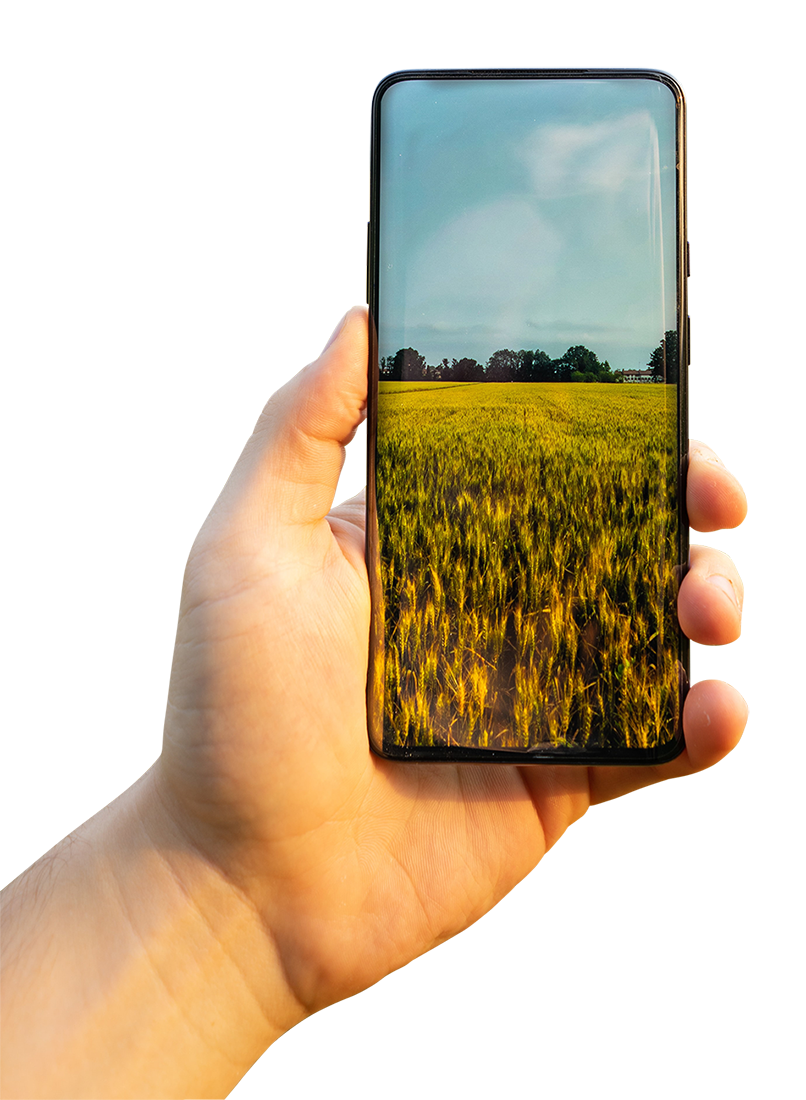 hand holding smartphone image, hand holding smartphone png, transparent hand holding smartphone png image, hand holding smartphone png hd