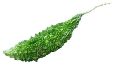 Bittergourd, Bittergourd png, Bittergourd png image, transparent Bittergourd png image, Bittergourd png full hd images download