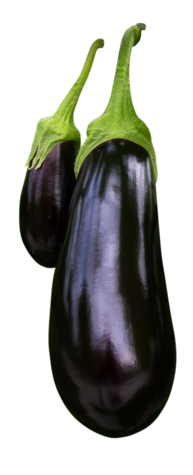 Brinjals, Brinjals png, Brinjals png image, transparent Brinjals png image, Brinjals png full hd images download