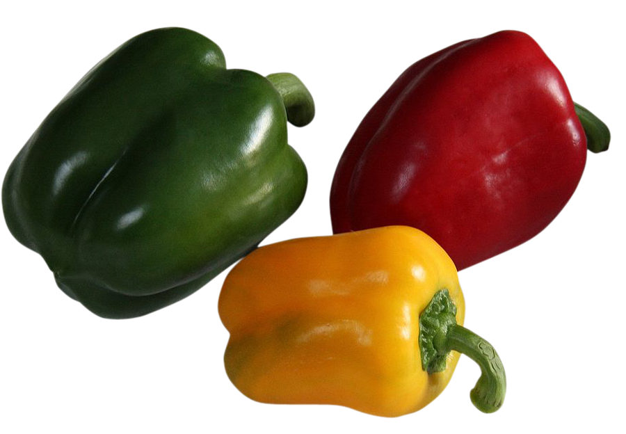 Capsicum, colourful Capsicum png, Capsicum png image, Capsicum transparent png image, Capsicum png full hd images download