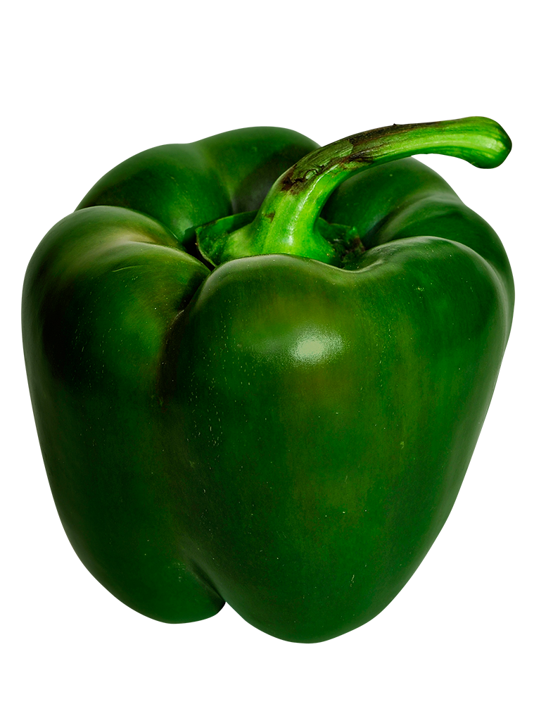 Capsicum green, free Capsicum green png, Capsicum png image, transparent Capsicum png image, Capsicum png full hd images download