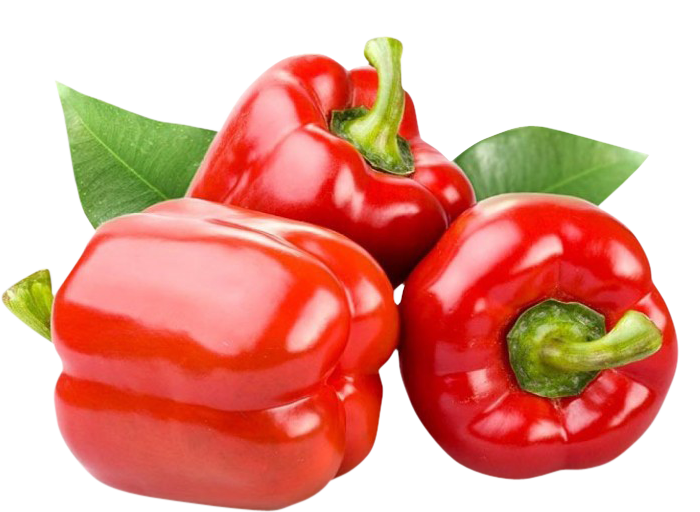 Capsicum red,fresh Capsicum red png, Capsicum png image, transparent Capsicum png image, Capsicum png full hd images download