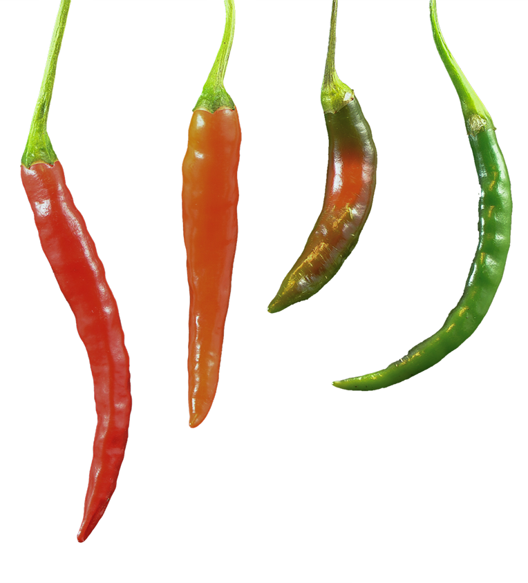 chilles, chilles png, chilles png image, transparent chilles png image, chilles png full hd images download