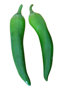 chillis, colourful chillis png, chillis png image, chillis transparent png image, chillis png full hd images download