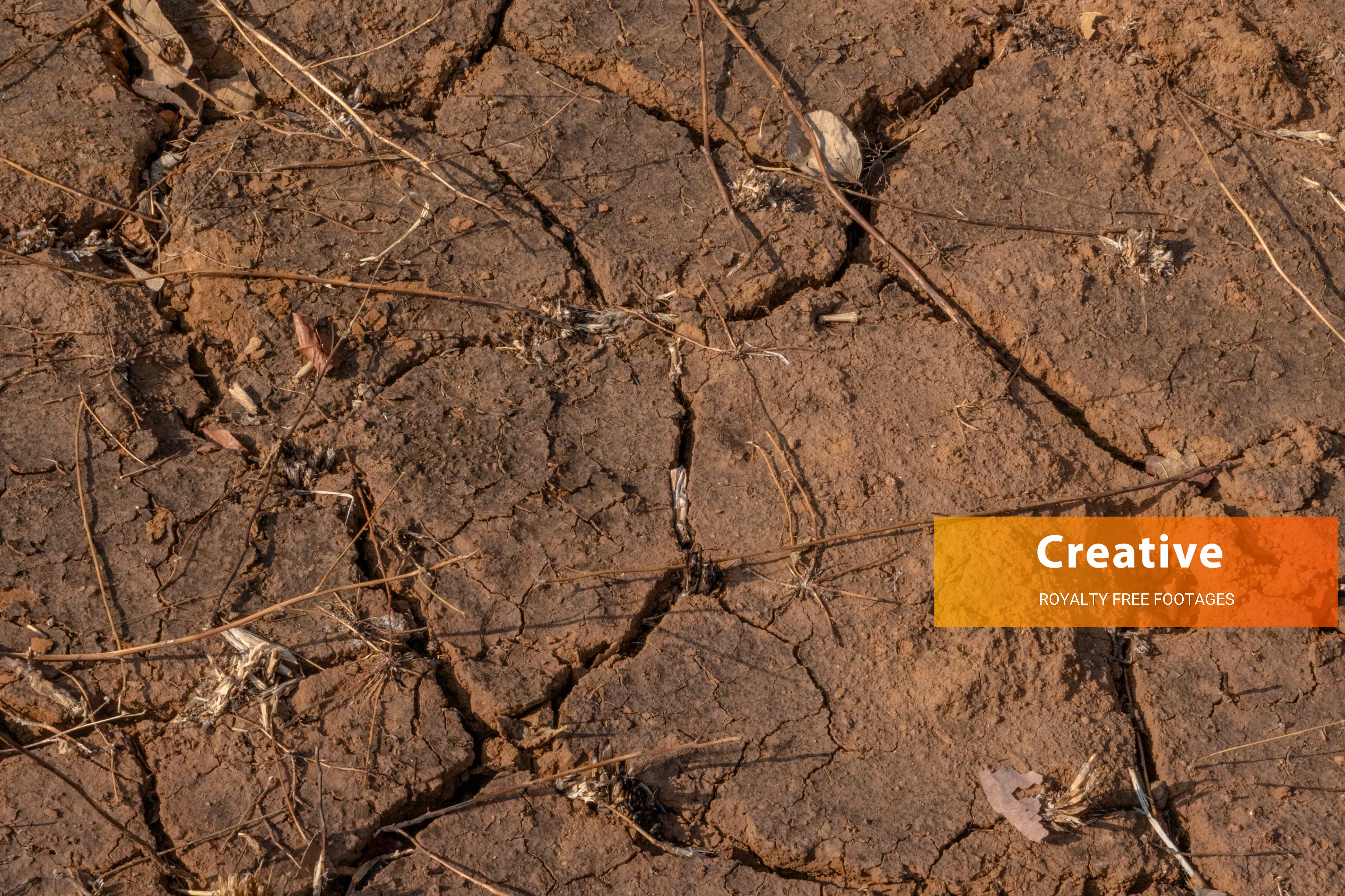 Dry Cracked Farmland 6K resolution Stock Photos - Free Download