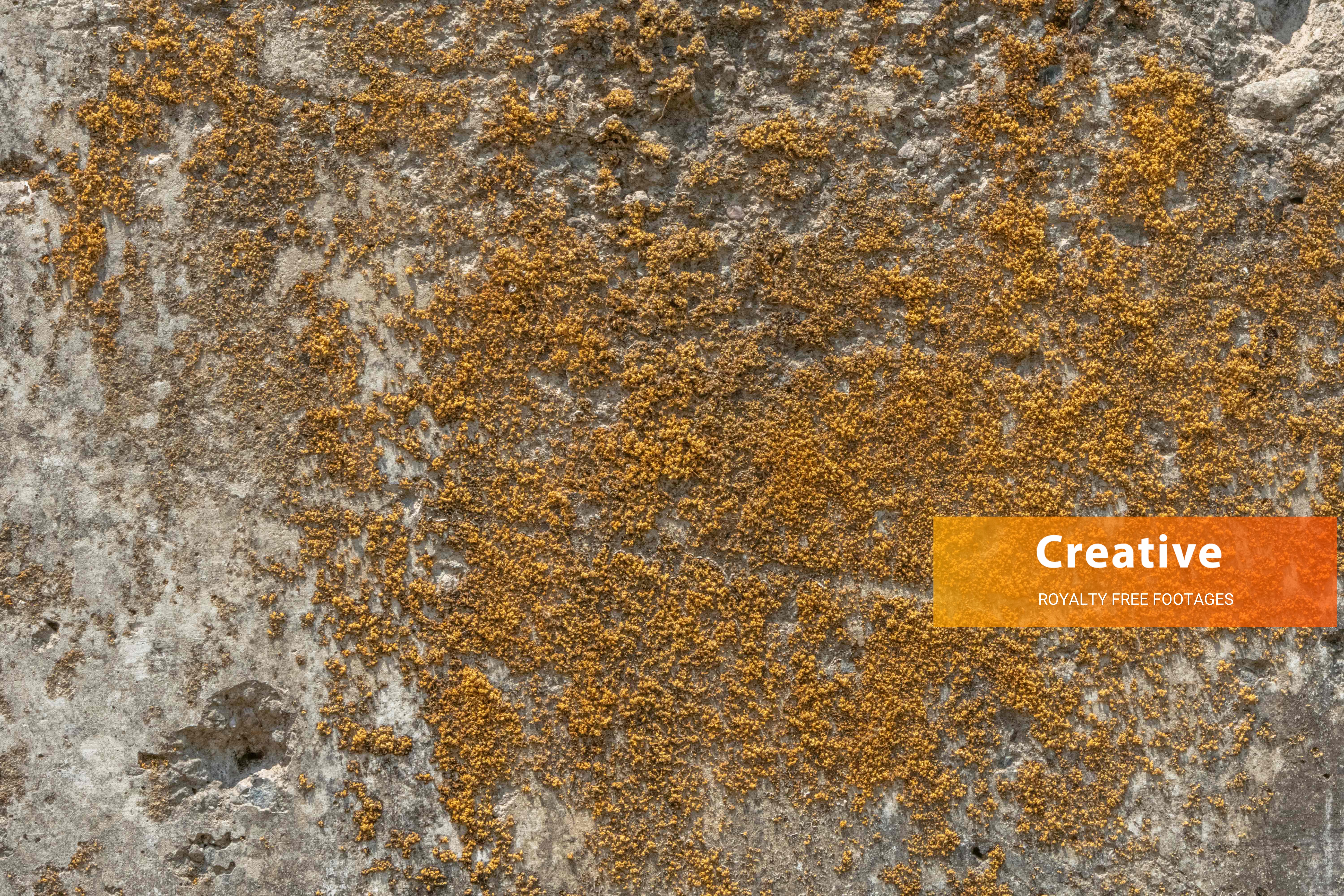 Hard Grey Stone Wall with Yellow Musk  texture in 6K resolution