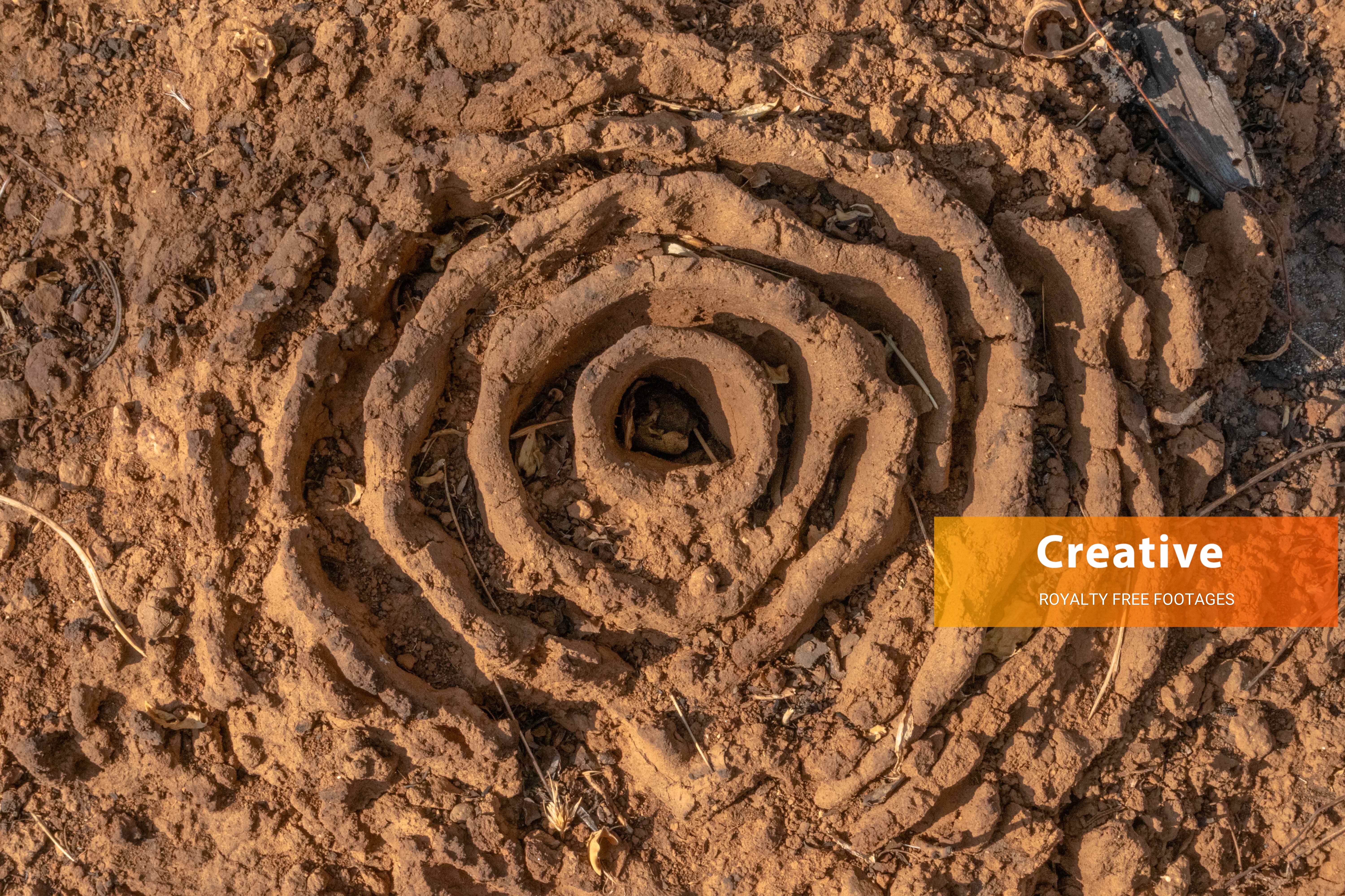 Spiral ant nest on dry clay soil HD stock image free download