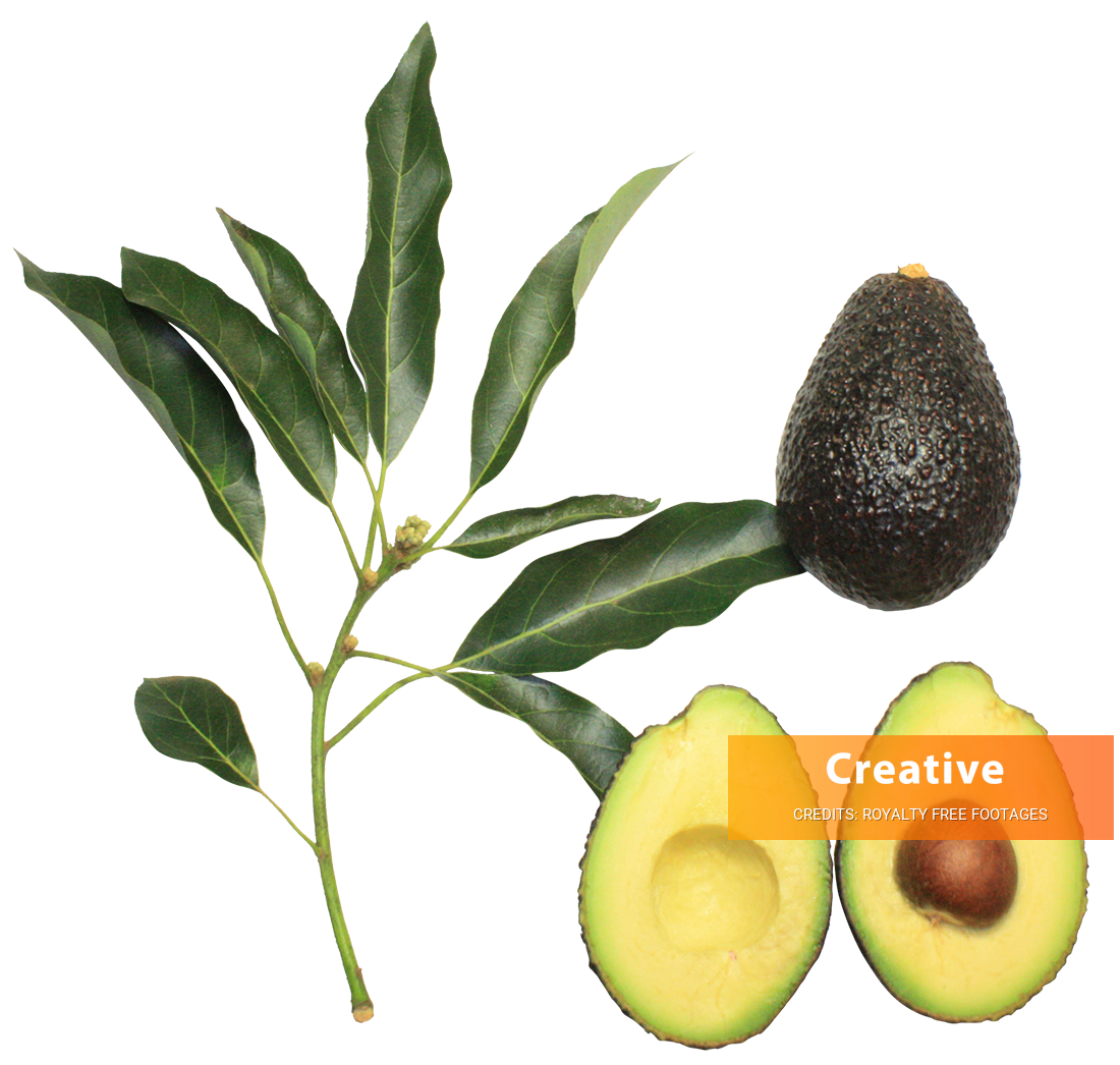 Avocado with leaves image, Avocado with leaves png, Avocado with leaves png image, Avocado with leaves transparent png image