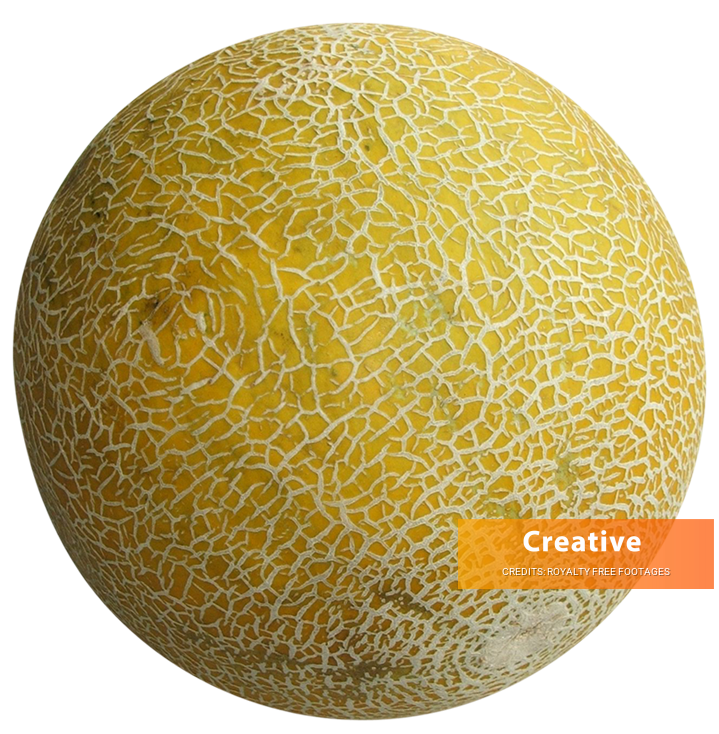 cucumis melo image, cucumis melo png, cucumis melo png image, cucumis melo transparent png image, cucumis melo png full hd images