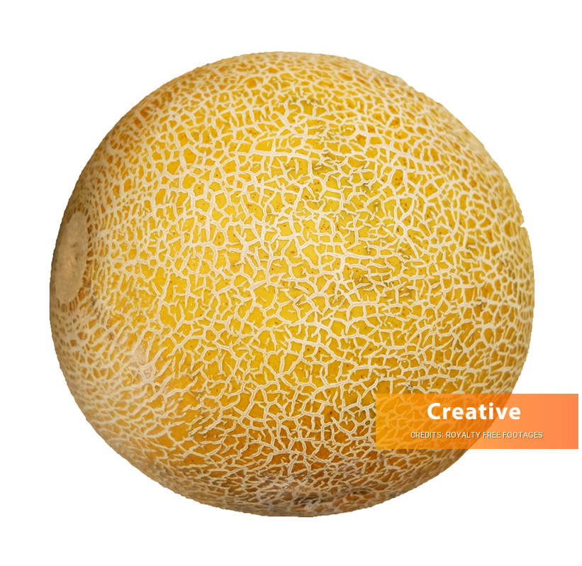 galia melon image, galia melon png, galia melon png image, galia melon transparent png image, galia melon png full hd images