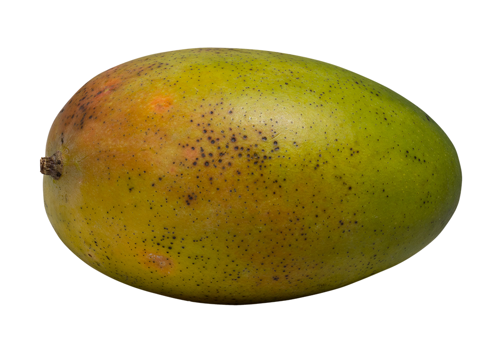 Green mango png, Green mango png image, Green mango transparent png image, Green mango png full hd images download