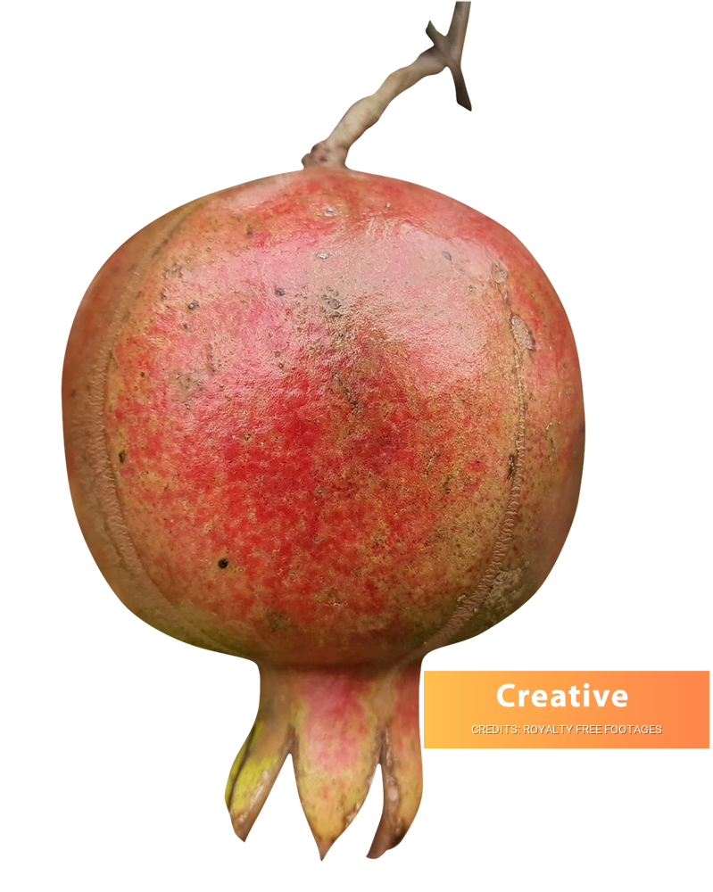Pomegranate image, Pomegranate png, Pomegranate png image, Pomegranate transparent png image, Pomegranate png full hd