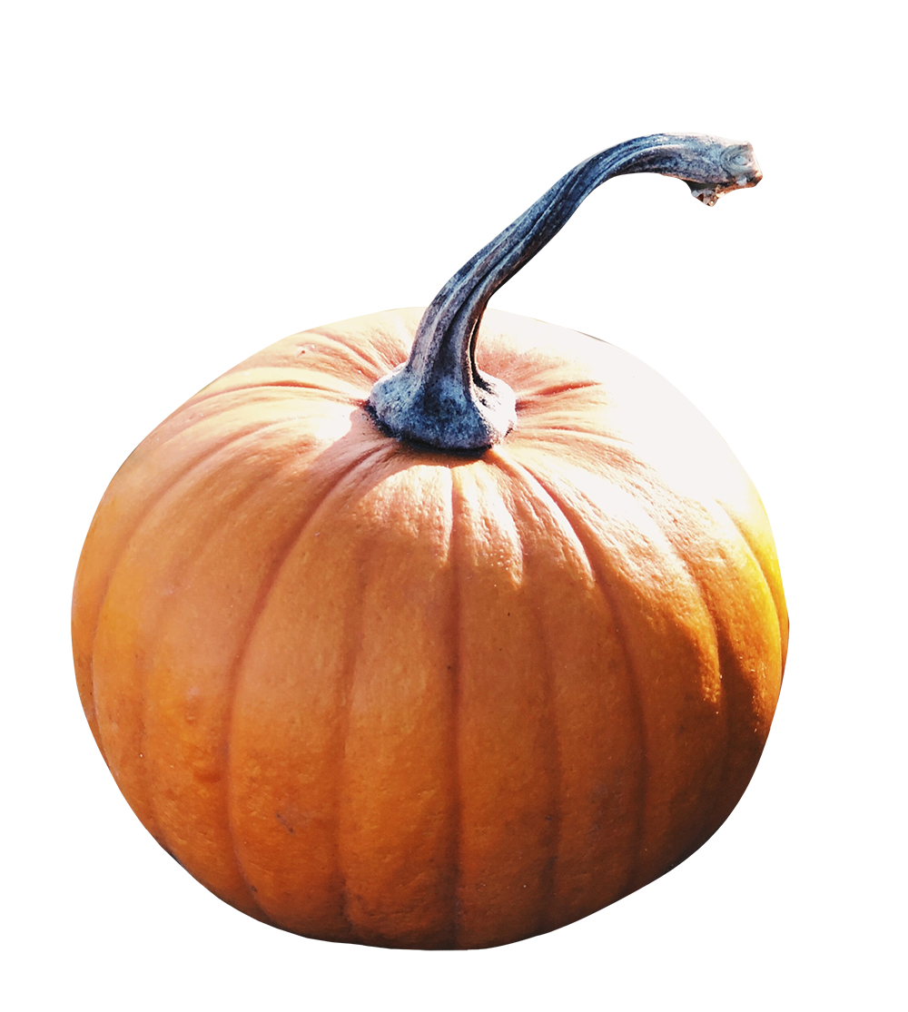Pumpkin image, Pumpkin png, Pumpkin png image, Pumpkin transparent png image, Pumpkin png full hd images