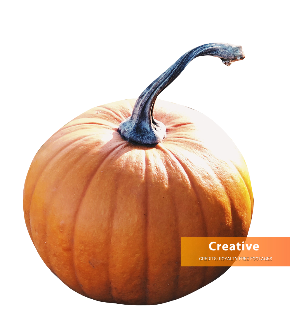 Pumpkin image, Pumpkin png, Pumpkin png image, Pumpkin transparent png image, Pumpkin png full hd images