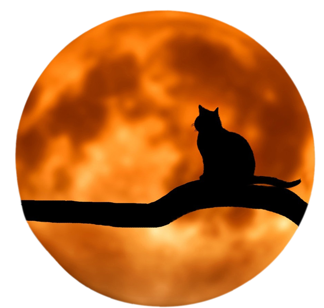 halloween moon image, halloween moon png, transparent halloween moon png image, halloween moon png hd images download