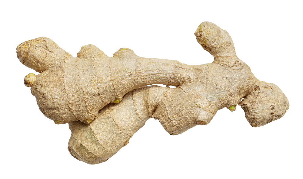 Ginger, Ginger png, Ginger png image, Ginger transparent png image, Ginger png full hd images download