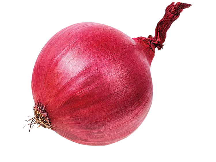 Onion, Onion png, Onion png image, Onion transparent png image, Onion png full hd images download