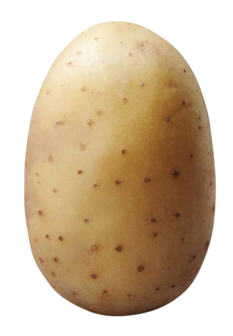 POTATO images, POTATO png, POTATO png image, POTATO transparent png image, POTATO png full hd images download