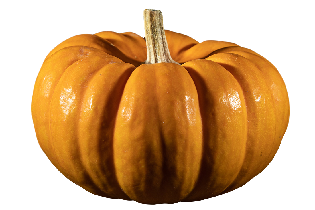 pumpkin images, pumpkin png, pumpkin png image, pumpkin transparent png image, pumpkin png full hd images download